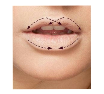 Lip liner trace